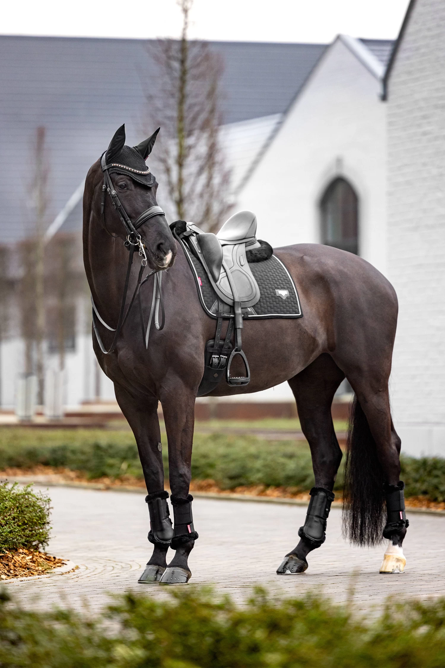 LeMieux Puissance Suede Dressage Saddle Pad - Image 4