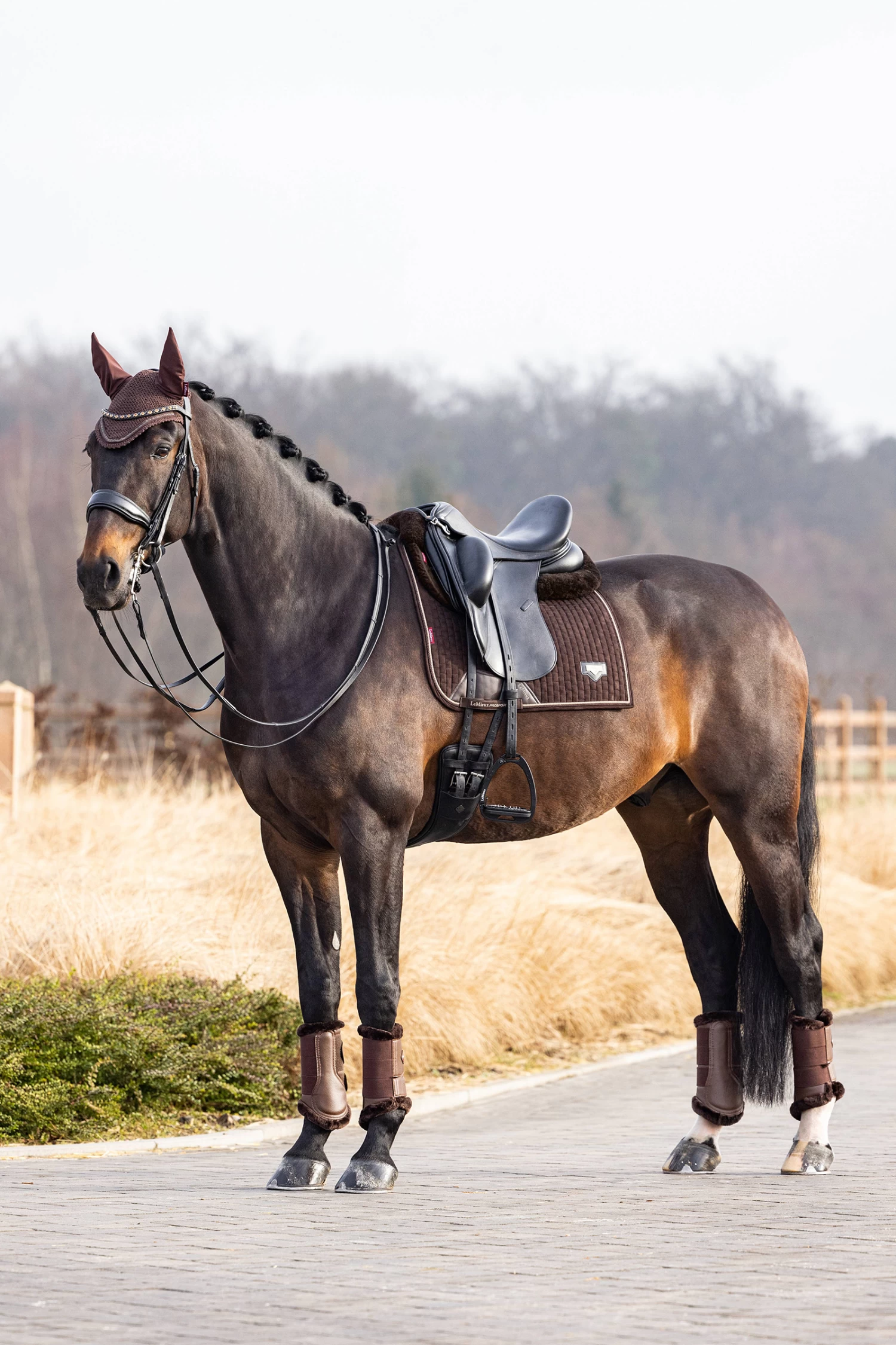 LeMieux Puissance Suede Dressage Saddle Pad - Image 2