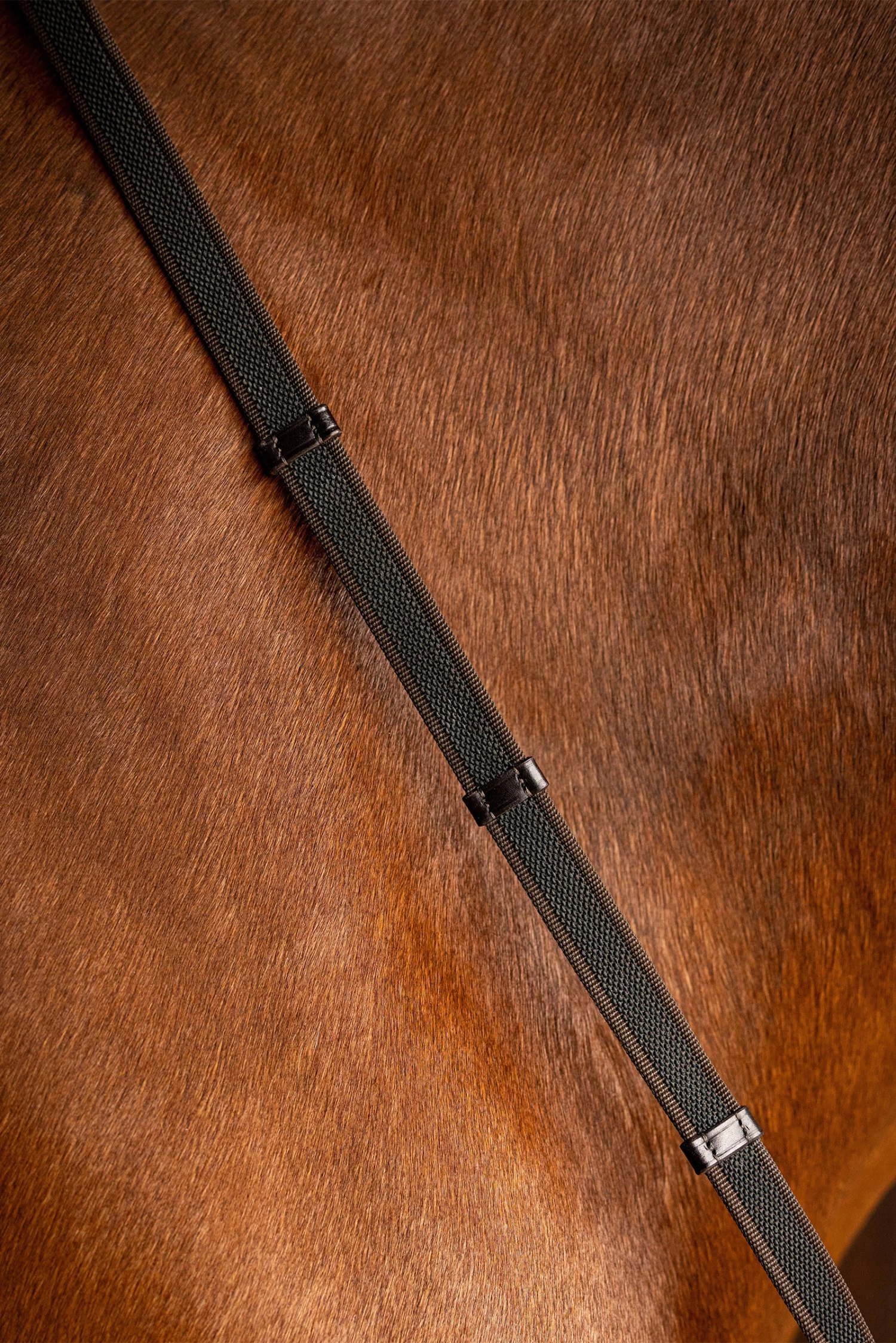 LeMieux Rubber Grip Continental Reins - Image 3