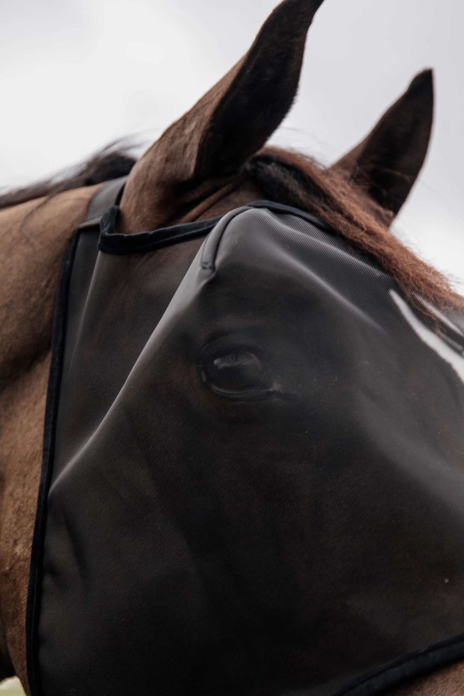 Kentucky Horsewear Classic Fly Mask Without Ears - Image 6